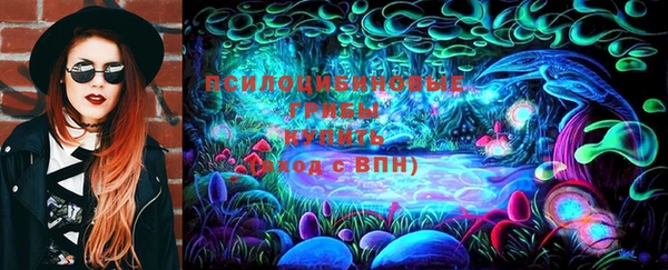 амф Богородск